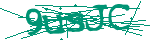 Image: Security code