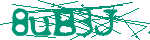 Image: Security code