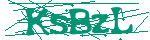 Image: Security code