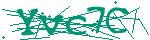 Image: Security code