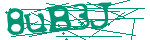 Image: Security code