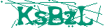 Image: Security code
